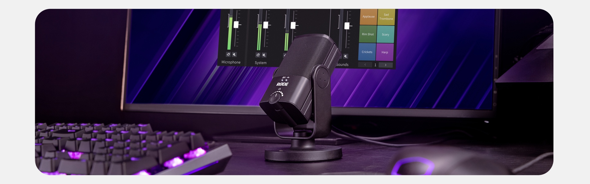 מיקרופון אולפן NT-USB Mini USB