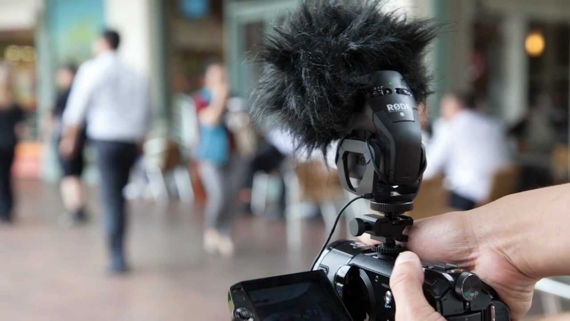 מיקרופון סטריאו Stereo VideoMic Pro