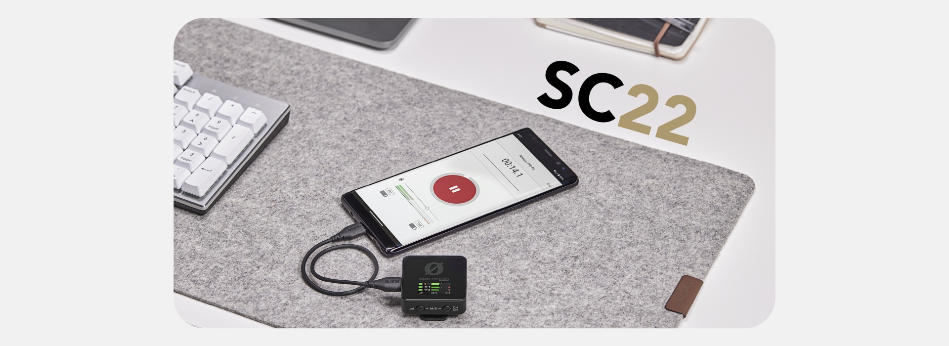 כבל USB-C באורך 30 ס"מ SC22